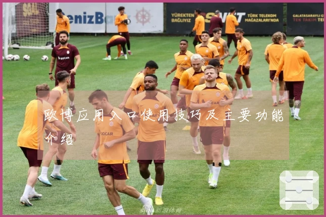 欧博应用入口使用技巧及主要功能介绍