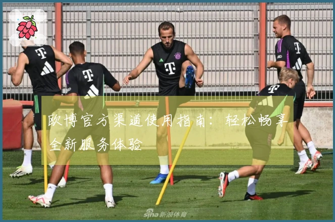 欧博官方渠道使用指南：轻松畅享全新服务体验